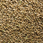 Hemp Seeds